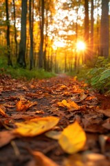 Fototapeta premium Sunlit Forest Path with Autumn Leaves at Sunrise in a Serene Woodland Landscape
