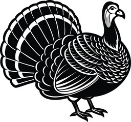 Obraz premium vector illustration of turkey