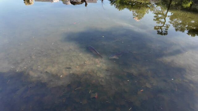 일본 나고야 츠루마이공원