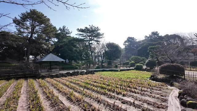 일본 나고야 츠루마이공원