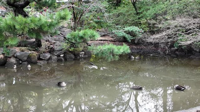 일본 나고야 츠루마이공원