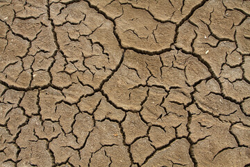 rifts in the dried soil formed a bizarre pattern