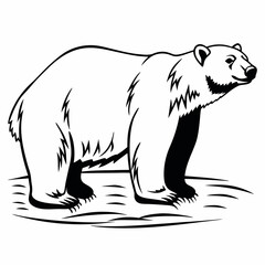 Obraz premium vector illustration of a polar bear isolated on a white background
