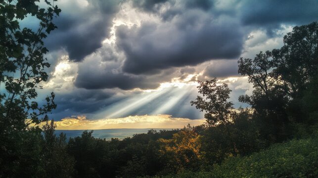 Sunlight Breaking Through Clouds Over Forest