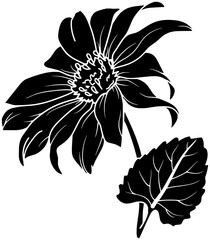 leaf illustration sunflower silhouette flower logo nature icon plant outline floral summer yellow blossom bright sun garden natural decoration shape for vector graphic background