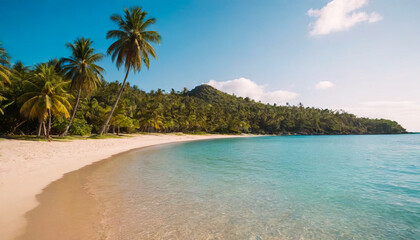 Palm trees on the sandy beach of a beautiful bay.