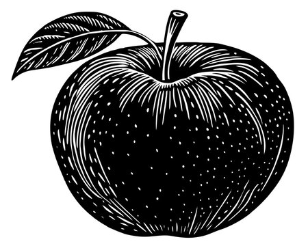 Apple: Nutritional Benefits, Culinary Uses, and Healthy Eating Tips