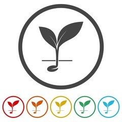 Young sprout with root icon. Set icons in color circle buttons