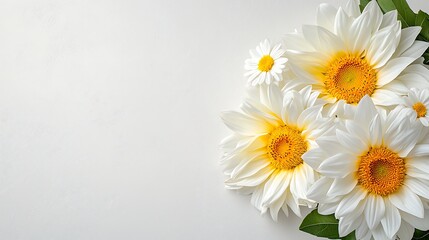 Obraz premium Spring flora vibrant flowers arrangement nature's beauty indoor close-up floral inspiration