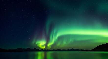 Naklejka premium Emerald Night's Embrace AI Generated