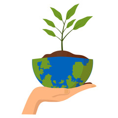 Reforestation Illustration