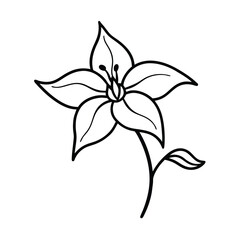 sweet pea clematis flower isolated on white background,