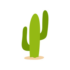Cactus plant illustration. Flat design vector illustration.