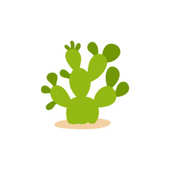 Cactus plant illustration. Flat design vector illustration.