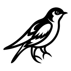 Barn Swallow vector