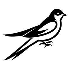 Barn Swallow vector