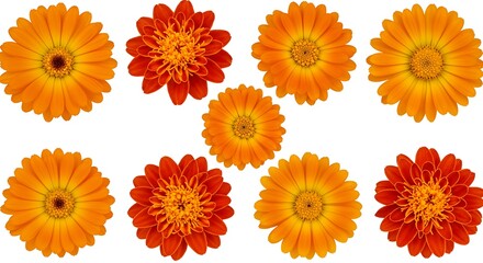 Autumnal Radiance: A Floral Symphony AI Generated