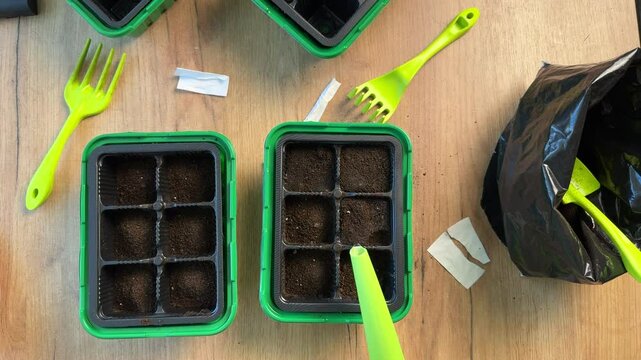 A woman is watering seeds planted in the cells of a plastic container with a watering can. Growing seedlings in mini greenhouses. High-Angle Shot.