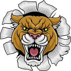 Cougar Panther Mountain Lion Puma Sports Mascot