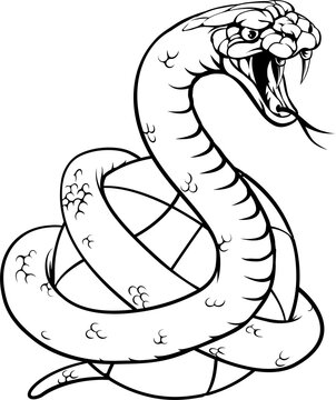 Snake Basketball Ball Animal Sports Team Mascot
