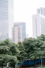 Obraz premium Urban vista juxtaposing greenery and modern architecture on a cloudy day