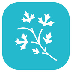 Coriander Vector Icon