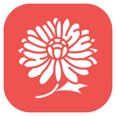 Chrysanthemum Vector Icon