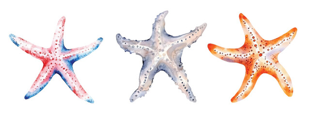 starfish watercolor vector illustration, underwater ocean animal art isolated on white background