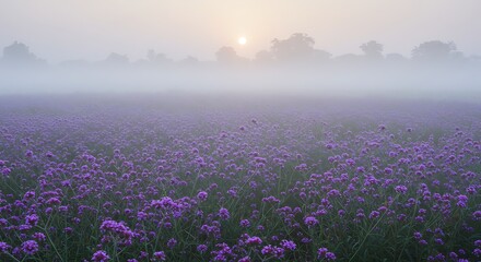 Obraz premium Purple Dawn's Embrace AI Generated