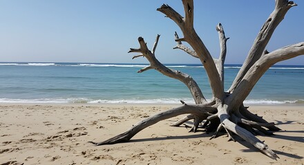 Sun-Bleached Sentinel AI Generated