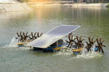 Solar-powered water turbines are placed at intervals in the pond to oxygenate the water and treat wastewater.    .