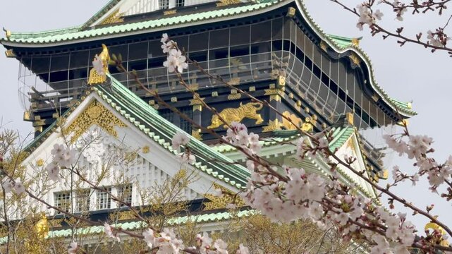 大阪のシンボルである大阪城と春の桜の景色