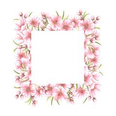 Almond pink flowers with leaves and buds watercolor square frame isolated. Floral template with copy space from spring sakura, cherry blossom. Illustration of spring blooming fruit in sketch style.