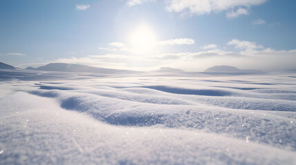 Obraz premium Snowy Tundra Under Bright Sun