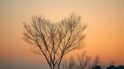 Obraz premium Heart-shaped tree silhouette under a romantic sunset, symbolizing love and warmth in nature's embrace.