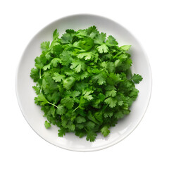 Chopped fresh cilantro in white plate isolated on transparent background
