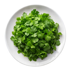 Chopped fresh cilantro in white plate isolated on transparent background