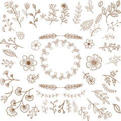 Hand-Drawn Decorative Ornaments Vector