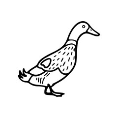 simple duck line art vector illustration