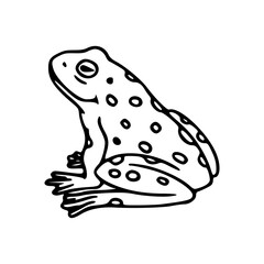 spotted frog outline vector illustration