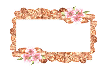 Almond kernels with pink flowers and leaves watercolor horizontal frame isolated. Template with copy space from natural organic food. Spice for cooking. Hand drawn Illustration of nuts in sketch style