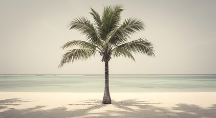 Obraz premium Coastal Solitude: Pale Sands, Silent Sea AI Generated