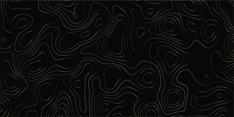 Decorative abstract contour map with elevation lines and organic design

