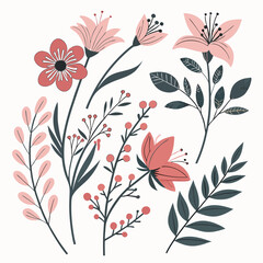 Botanical Floral Vector Illustrations Muted Pink Coral Green Flowers Leaves Berries Flat Style Decorative Spring Summer Nature