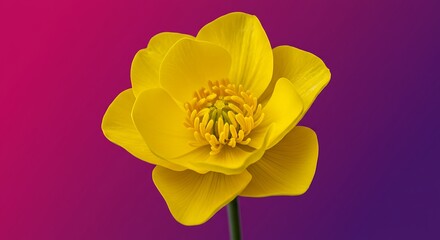 Fototapeta premium Golden Hour Bloom AI Generated
