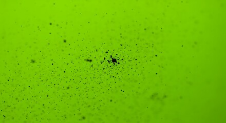 Limelight Specks AI Generated