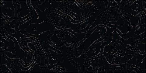 Fototapeta premium Modern contour background with elevation-style flowing lines and soft rhythm