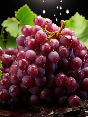 Fototapeta premium A vibrant display of red grapes with water droplets against a dark background and green leaves