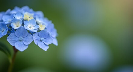 Celestial Blue Bloom AI Generated