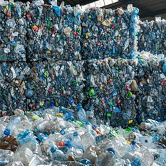 A pile of pressed plastic bottles for recycling